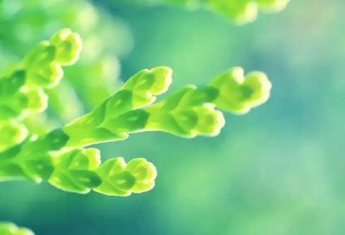 1732642214105978.png image.png