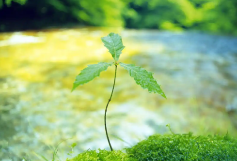 1732642874343608.png image.png