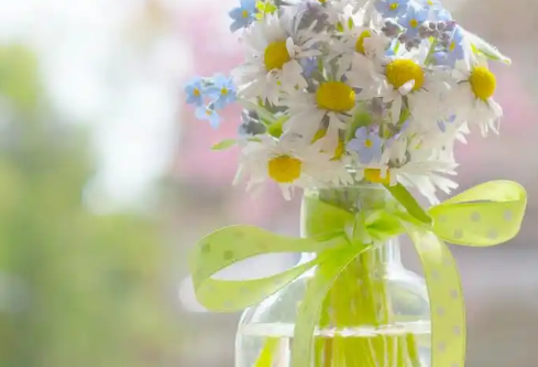 1732643369106357.png image.png