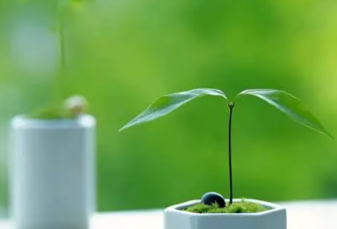 1732643534136948.png image.png