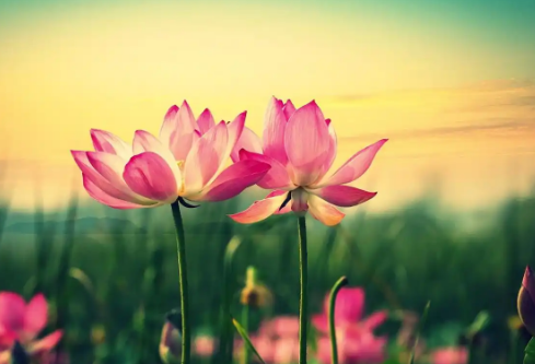 1732643864836623.png image.png