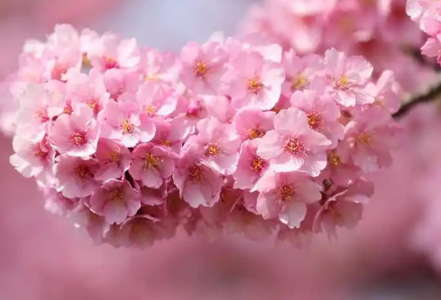 1732644524339520.png image.png