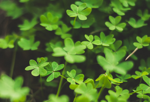 1732644690773582.png image.png