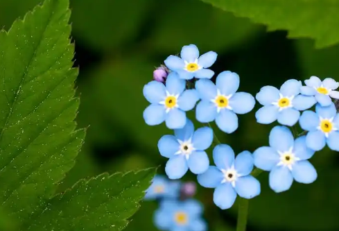 1732644854435137.png image.png