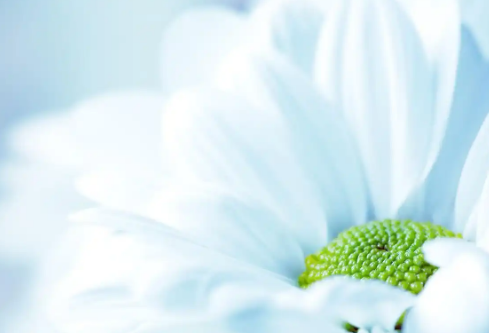 1732645020399334.png image.png