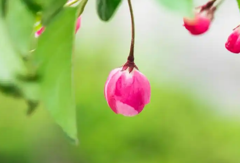 1732645185135816.png image.png