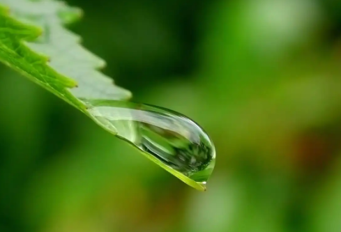 1732645350862830.png image.png