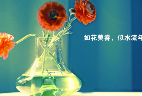 1732645680801251.png image.png